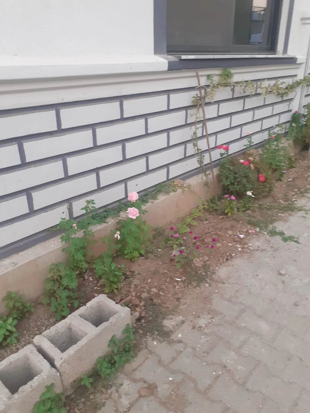 galeri_20260314_163435_b25afe608510bfd32f28